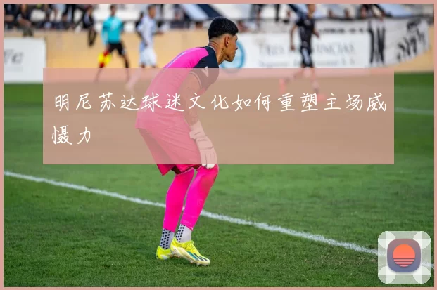 明尼苏达球迷文化如何重塑主场威慑力