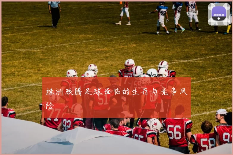 株洲狼腾足球面临的生存与竞争风险