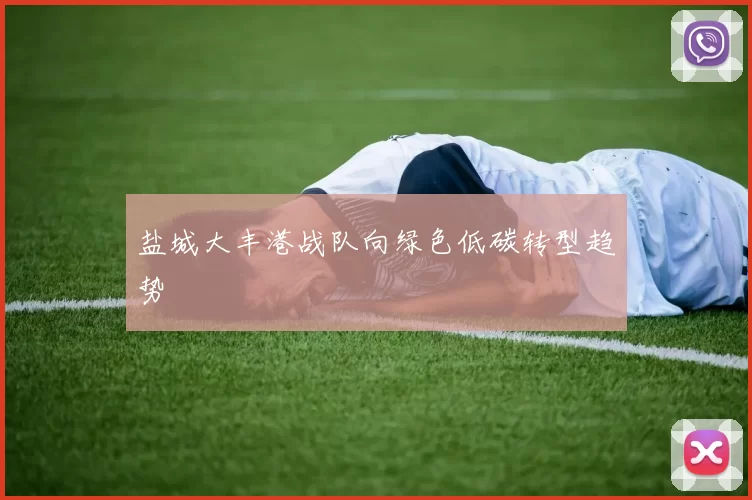 盐城大丰港战队向绿色低碳转型趋势