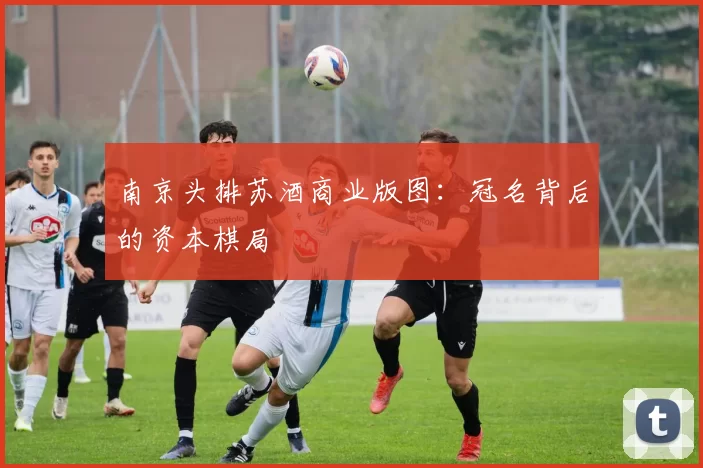 南京头排苏酒商业版图：冠名背后的资本棋局