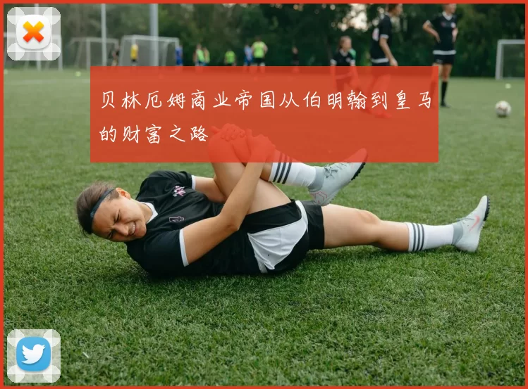 贝林厄姆商业帝国从伯明翰到皇马的财富之路