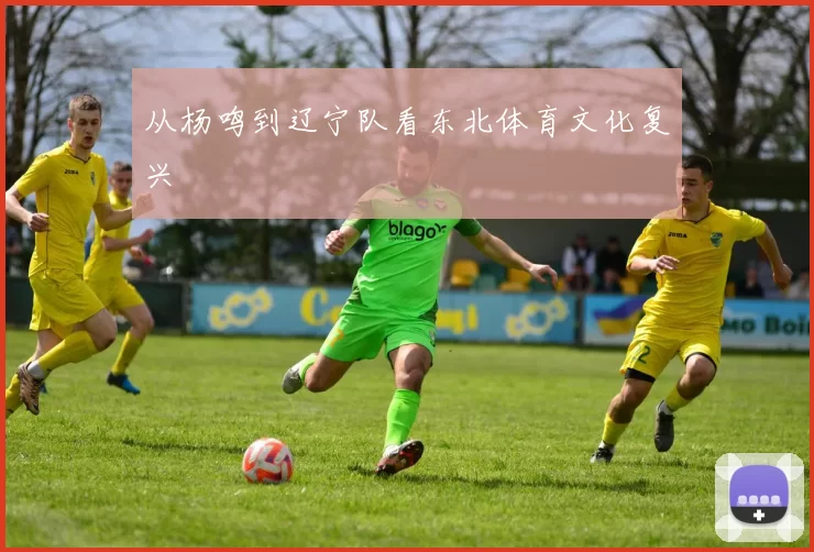 从杨鸣到辽宁队看东北体育文化复兴