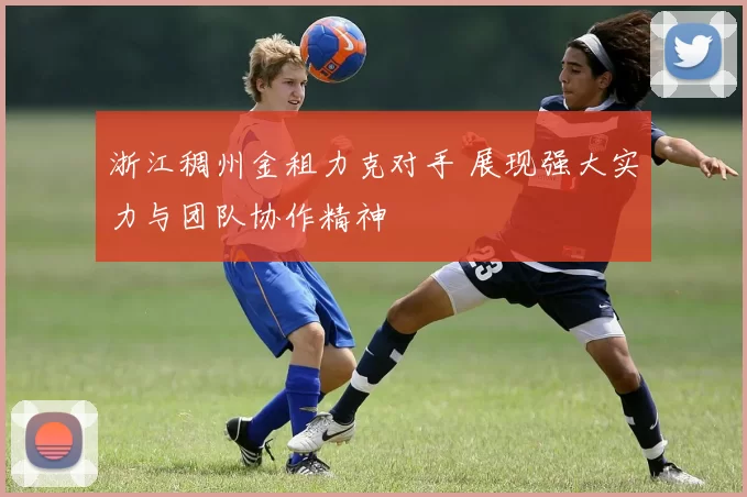 浙江稠州金租力克对手 展现强大实力与团队协作精神