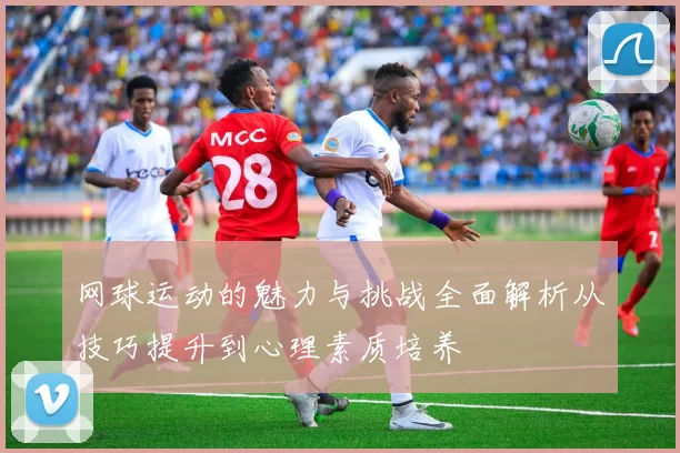 网球运动的魅力与挑战全面解析从技巧提升到心理素质培养