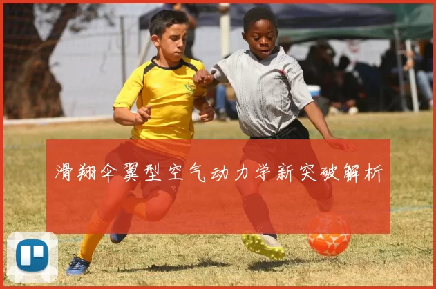滑翔伞翼型空气动力学新突破解析