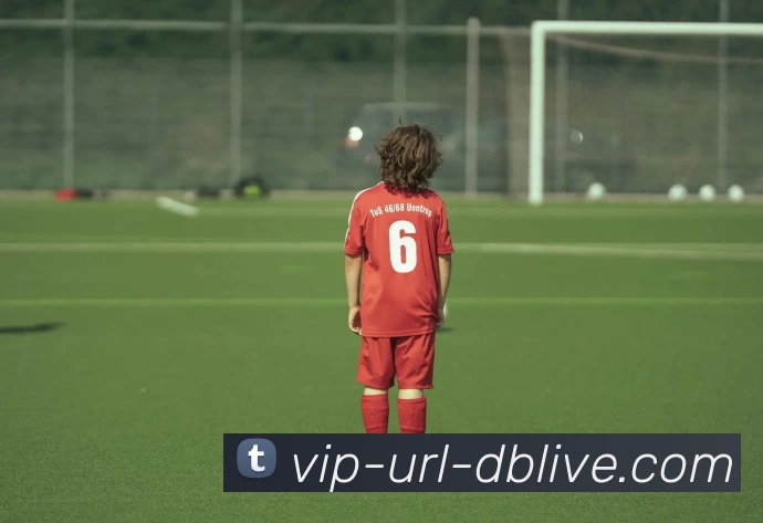 db真人首页服务体系