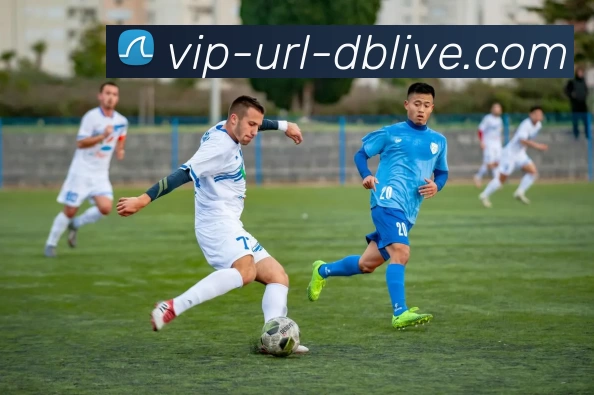 奖项证书